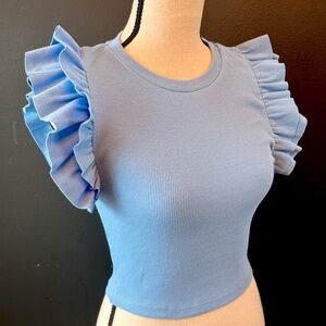 ZARA Blue Ruffle Sleeve Top